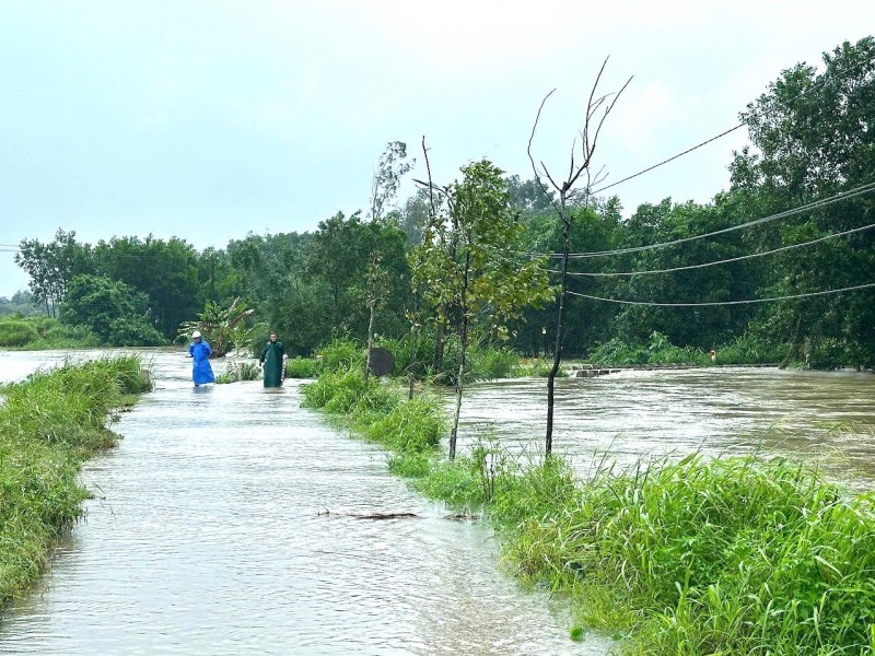 NƯỚC NGẬP CỤC BỘ NHIỀU KHU VỰC XÃ THĂNG PHÚ