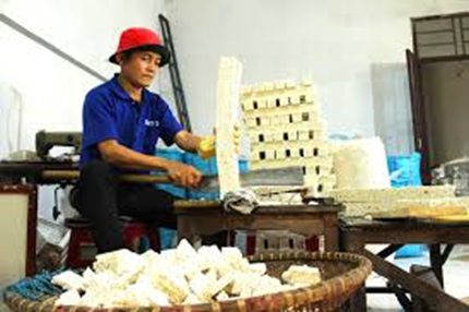 PHONG TỤC LÀM BÁNH TẾT XƯA VÀ NAY