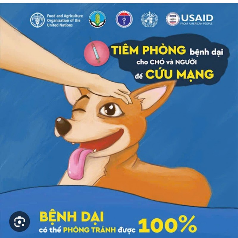 THĂNG PHÚ TĂNG CƯỜNG TRIỂN KHAI QUYẾT LIỆT CÁC BIỆN PHÁP PHÒNG, CHỐNG BỆNH DẠI