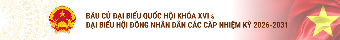 Bầu cử